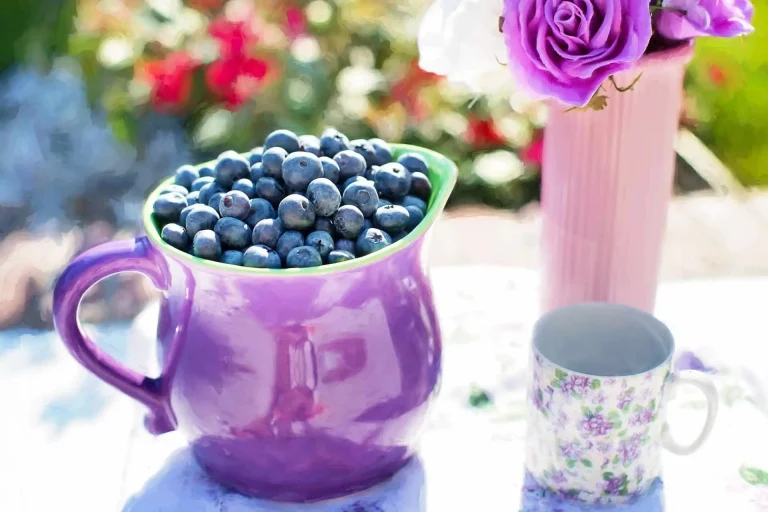 6 Foods That Can Help Save Your Skin From Sun Damage