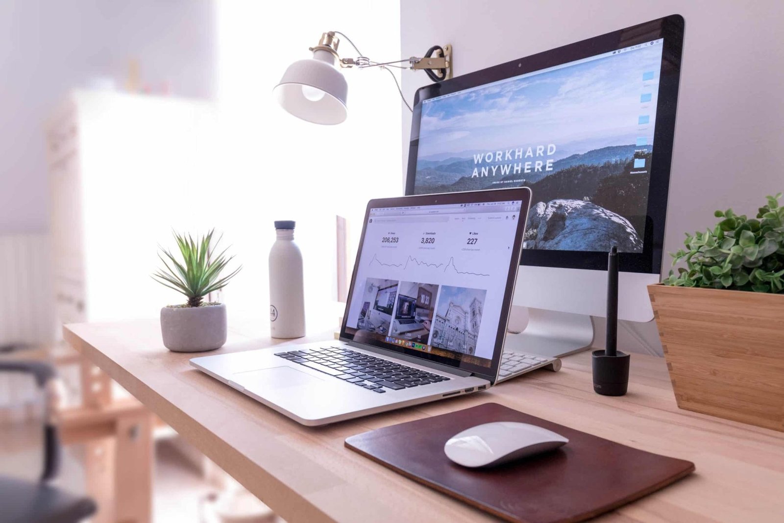 Organize online courses and ebooks