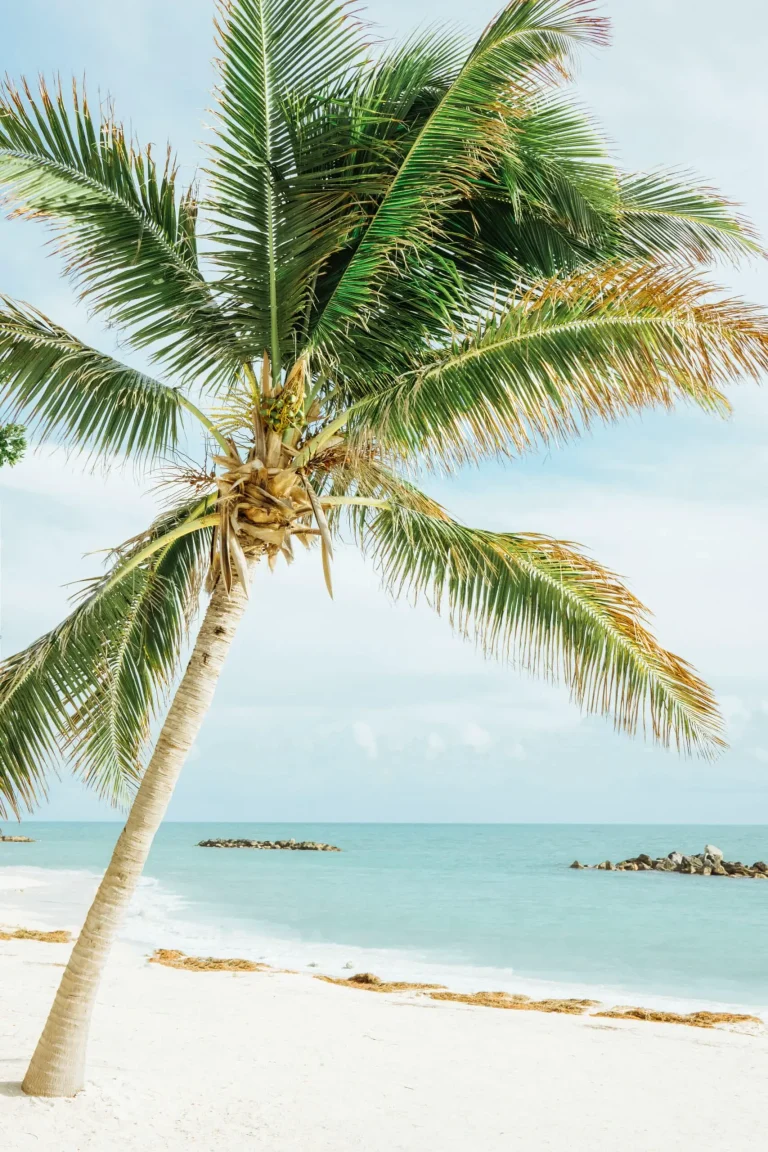 Step Outside Of Who You Are: The Best Ways To Take A Break From Life