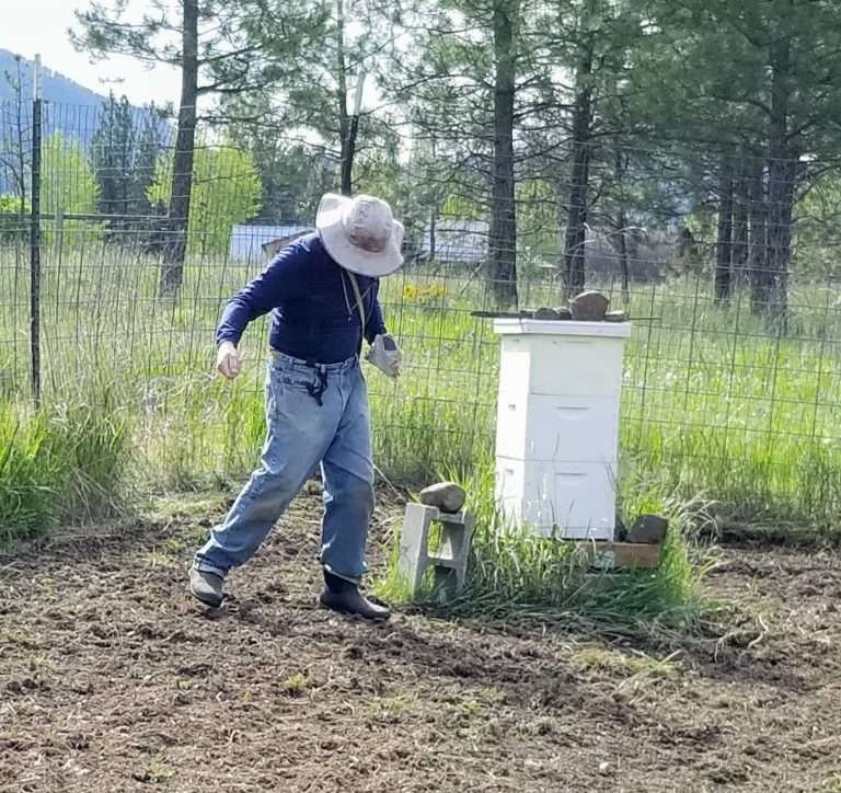 planting white clover from True Leaf Market