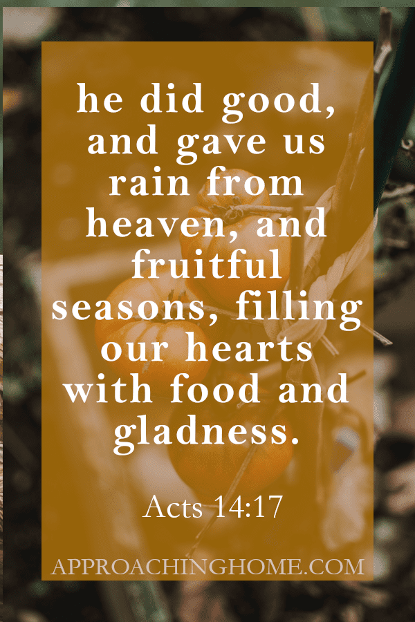 Bible Verse Gardening