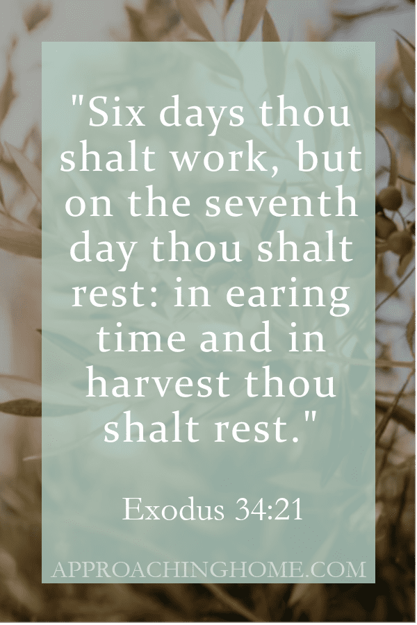 bible verse homestead