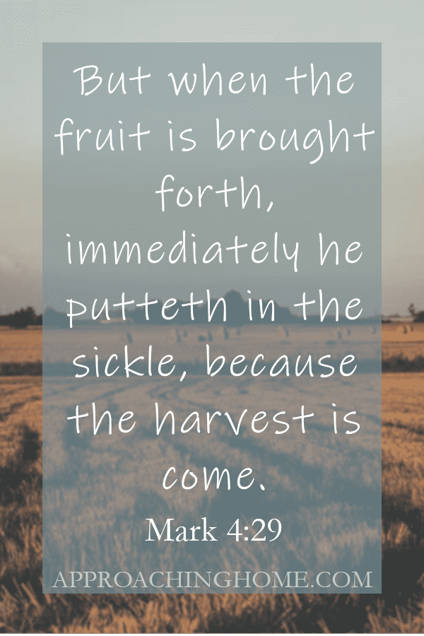 bible verse about harvest