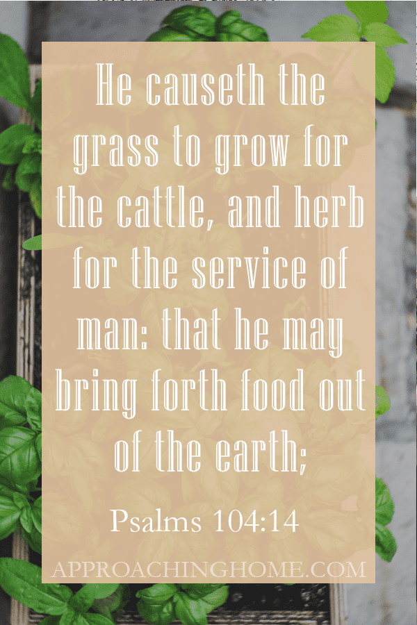 bible verse about herbs
