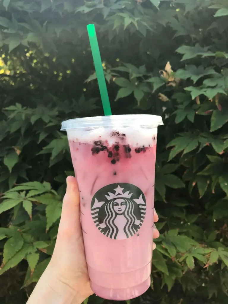 starbucks violet drink with berries in it with a green bush behind it