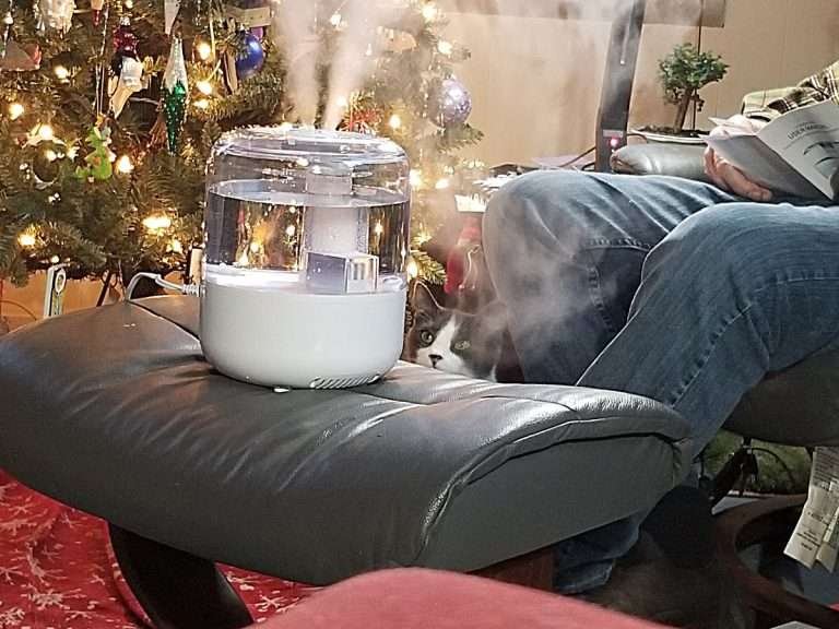 fang and humidifier