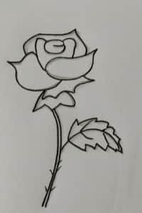beginners-drawing