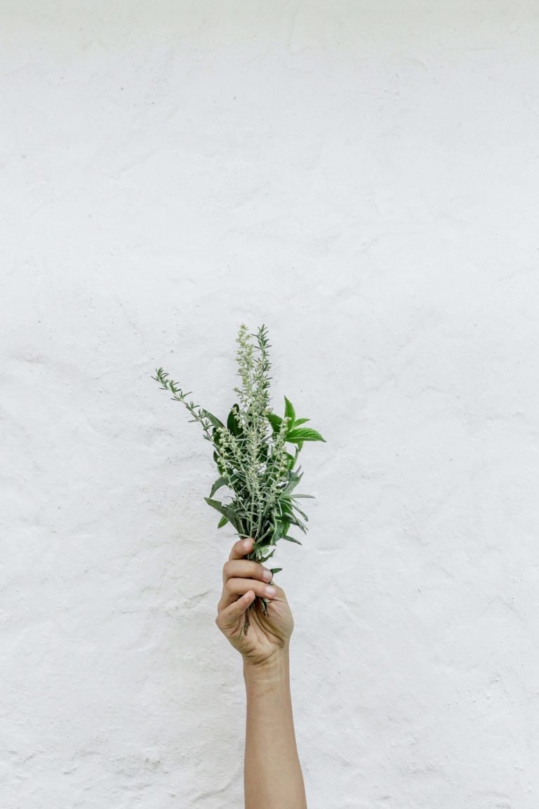 5 Easy Steps To Improving Your Personality