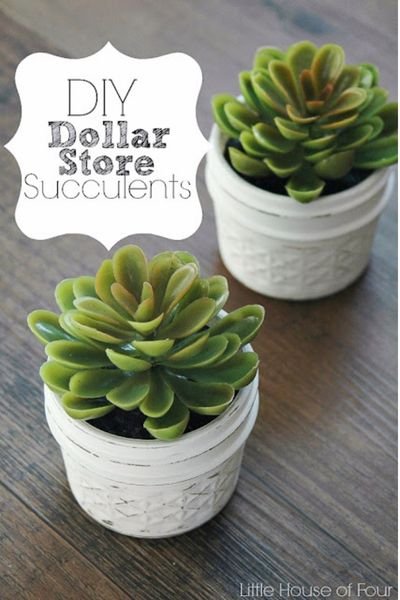 DOLLAR TREE SUCCULENTS