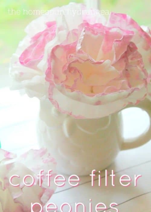 COFFEE FILTER PEONIES