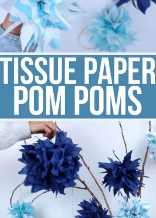 PAPER POM POMS