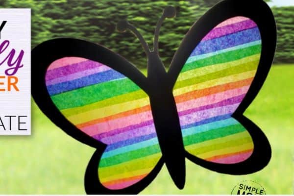 BUTTERFLY SUNCATCHER