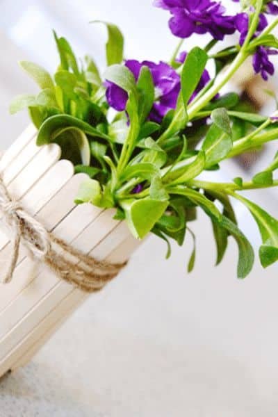 Popsicle Stick Flower Pot