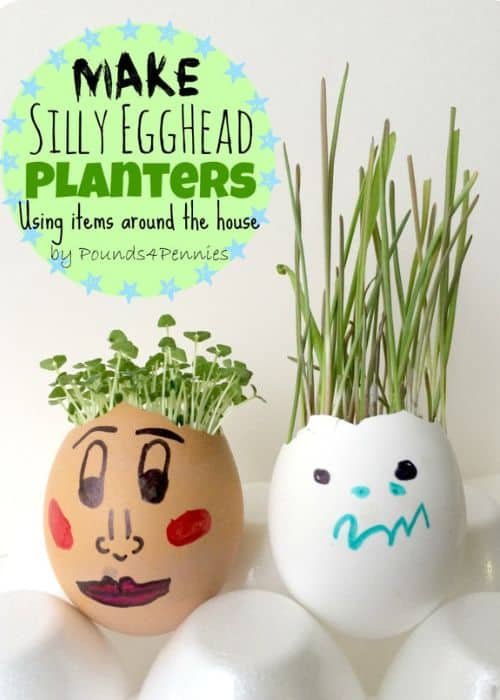 Eggshells Planters