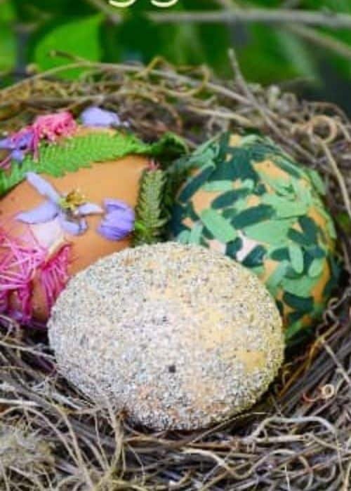 Nature-Inspired Eggs