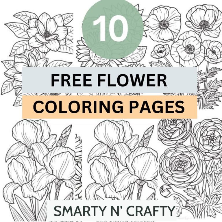 flower coloring pages