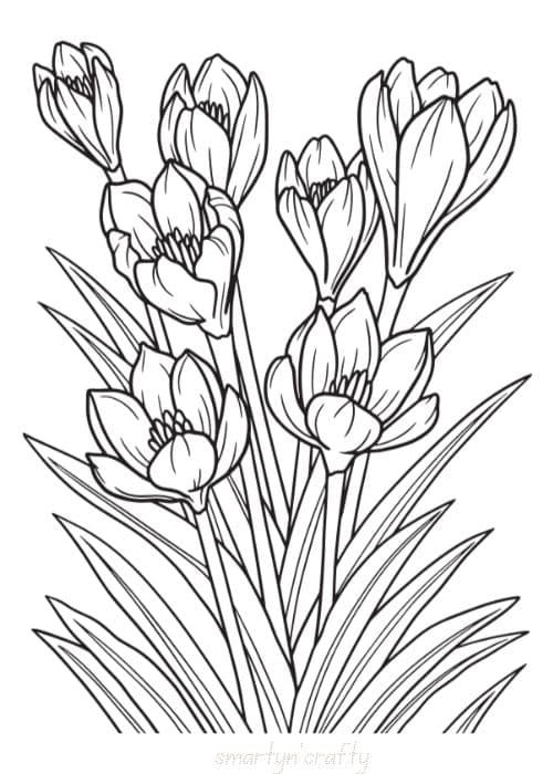 flower coloring pages