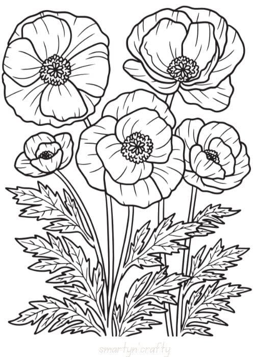 flower coloring pages