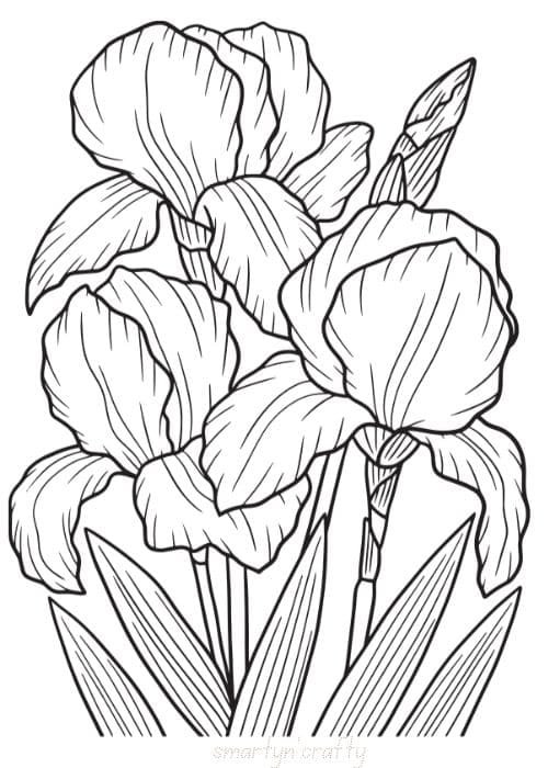 flower coloring pages