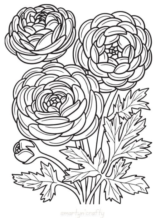 flower coloring pages