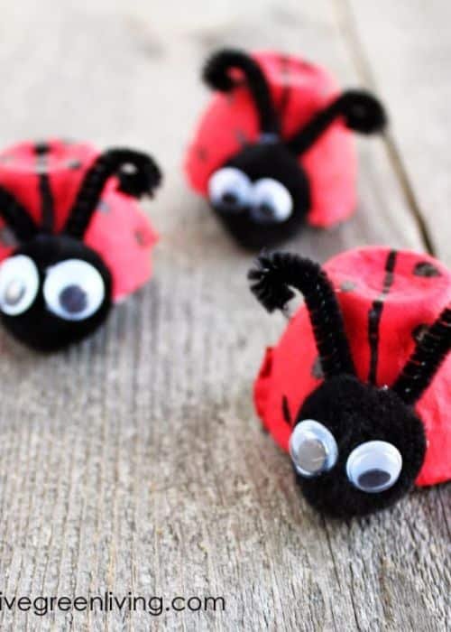 Egg Carton Ladybugs
