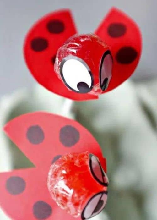 Ladybird Lollipops