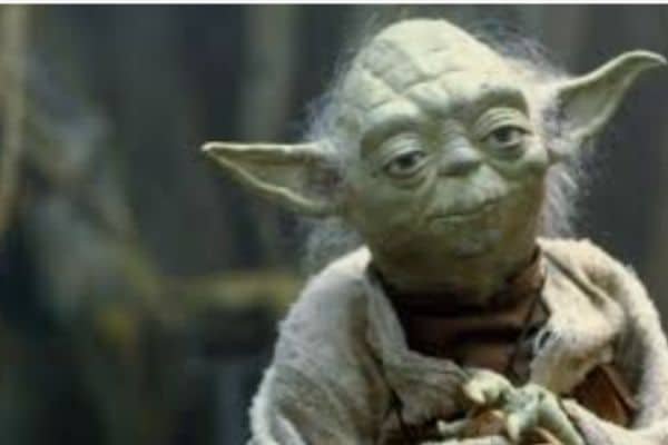 Yoda