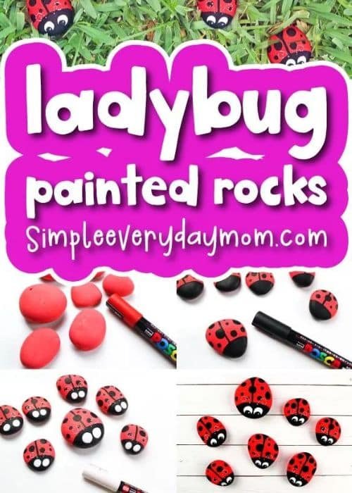 Ladybug Rocks