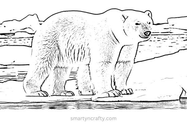 arctic animals coloring pages 