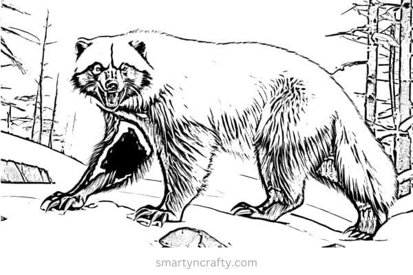 arctic animals coloring pages 