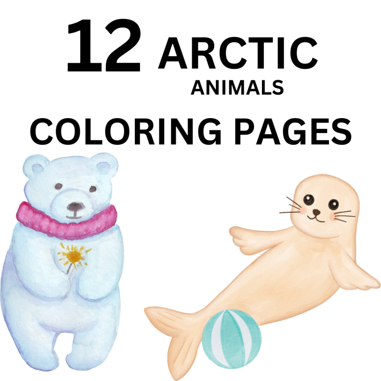 12 Wonderful Arctic Animals Coloring Pages