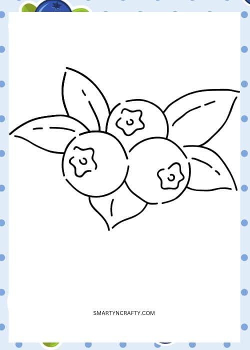 blueberry coloring pages