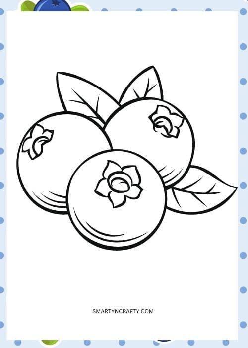 blueberry coloring pages