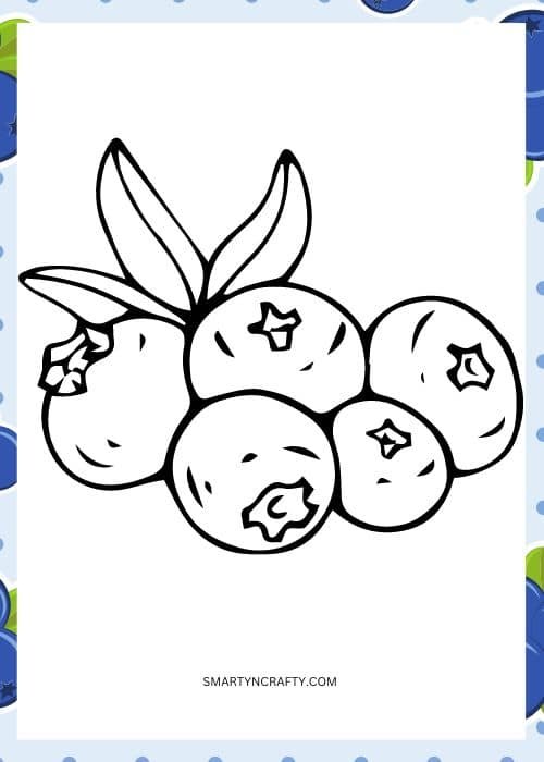 blueberry coloring pages