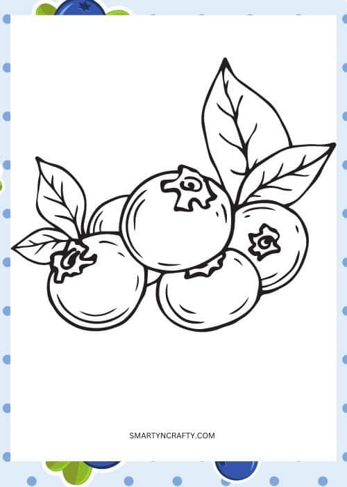 blueberry coloring pages