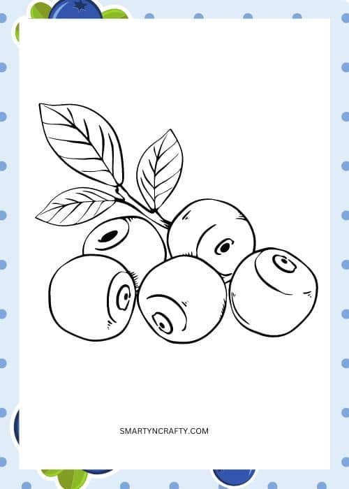blueberry coloring pages