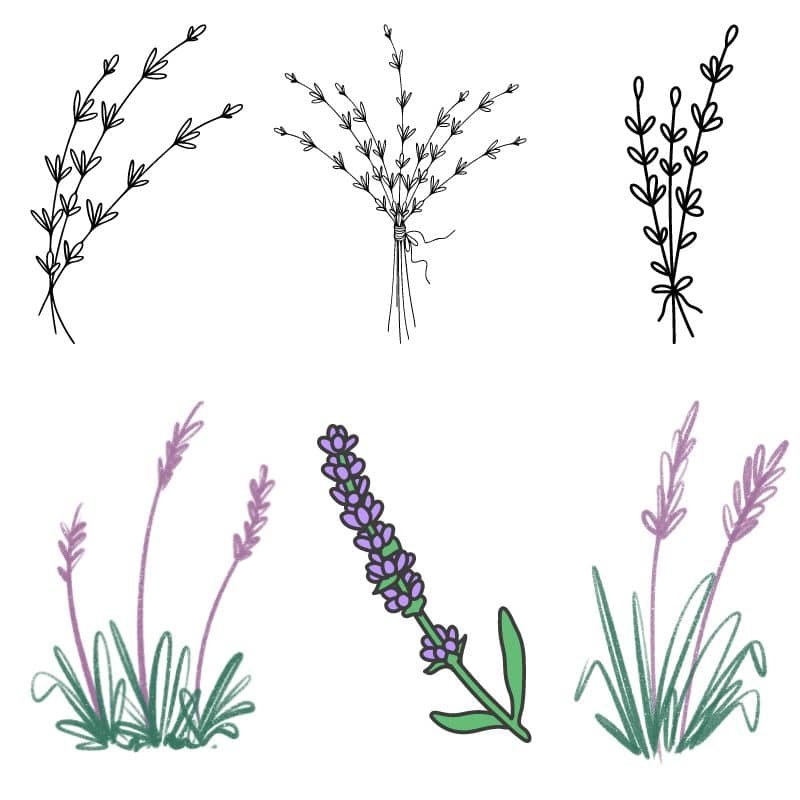 Lavender Doodles