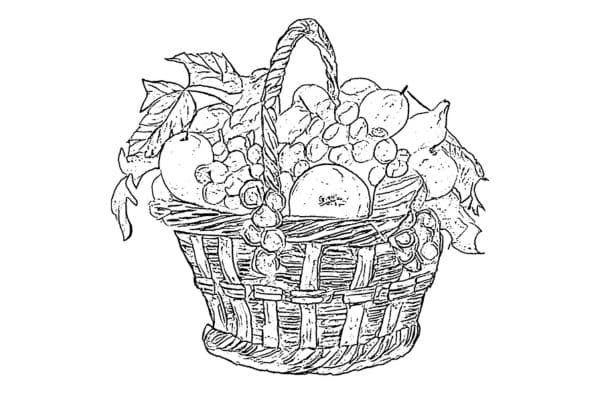 fruit basket coloring pages