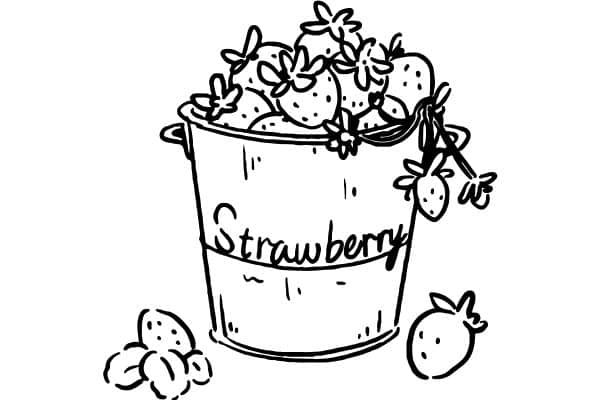 fruit basket coloring pages