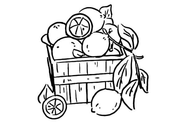 fruit basket coloring pages