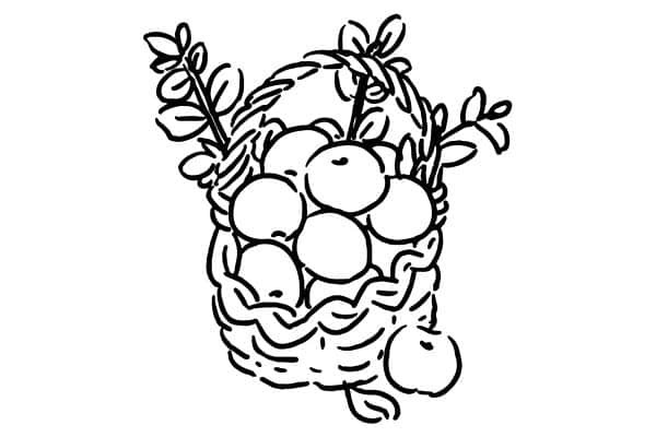 fruit basket coloring pages
