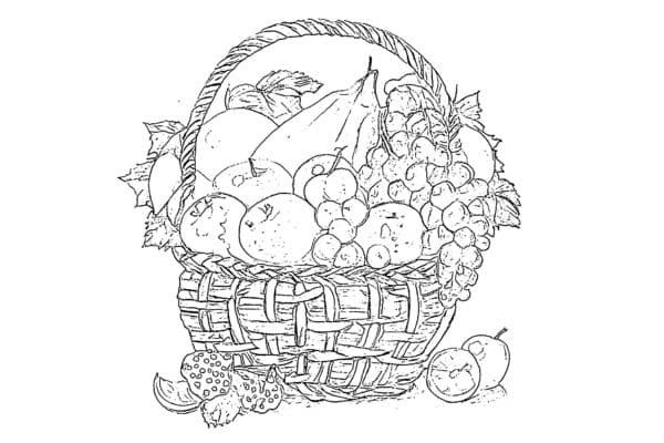 fruit basket coloring pages