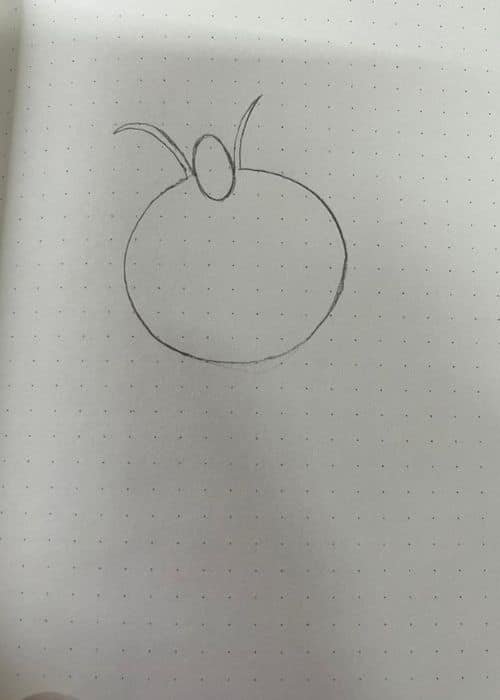 how to draw meowth