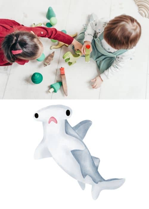 ocean animals hunt 