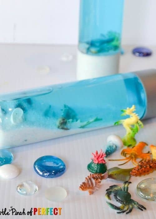 ocean sensory bottle