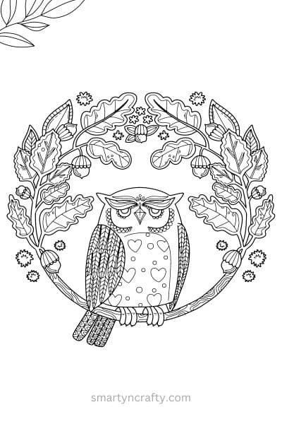 owl coloring pages