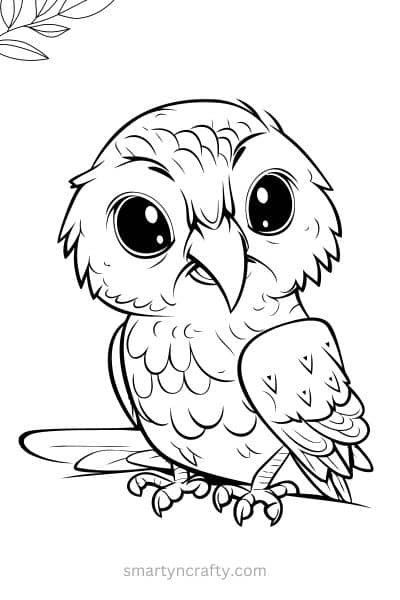 owl coloring pages