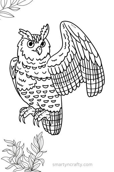 owl coloring pages