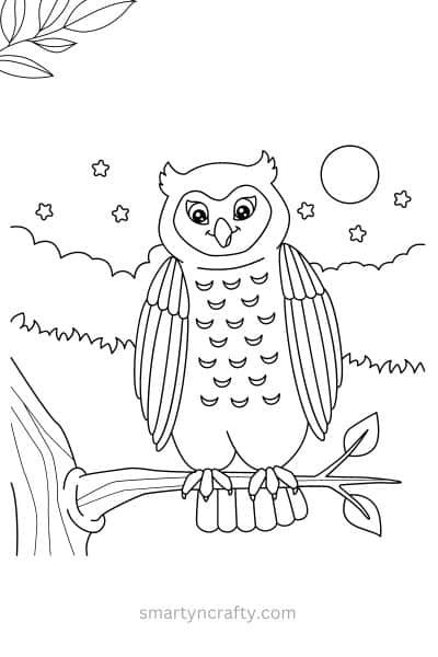 owl coloring pages