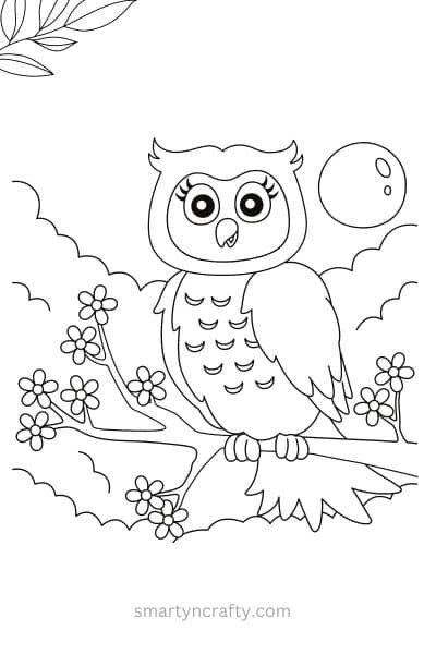 owl coloring pages